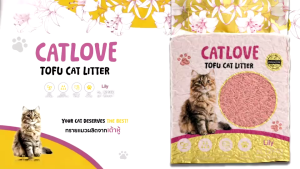 CATLOVE ทรายแมวเต้าหู้ 6L/2KG ทรายเต้าหู้เกรดพรีเมี่ยม ออร์แกนิค100% ดูดซับดีเเยี่ยม จับตัวเป็นก้อนง่าย ฝุ่นน้อย ราคาถูกจัดส่งไวจากโรงงานไทย
