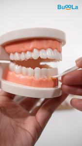 Buoola ไหมขัดฟัน ชนิดด้าม 1 กล่อง 50 ชิ้น ช่วยทำให้ฟันสะอาด ลดคราบพลัคและเศษอาหาร