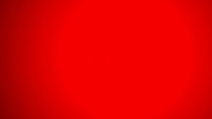 Marca Pina Edam Cheese Ball 600 g