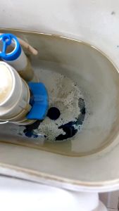 Viên Sạch Bồn Cầu CLEANZ 50G - Cốc Thả Bồn Cầu Hương Anh Đào Diệt Khuẩn Tẩy Sạch Mảng Bám Khử Mùi