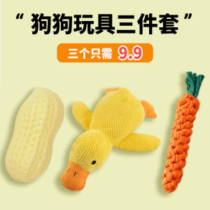 Dog Toy Gift Pack Plush Toys Noise Making Teeth Grinding Durable Pet Supplies for Boredom Relief Dog Self Entertaining