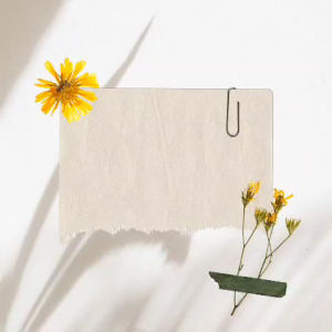 NA STYLE - Baju Koko Anak Laki Laki Setelan Koko Anak Baju Muslim Anak 3 - 12 Tahun Cigarete Lengan Pendek