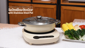 Hanabishi HA1348DC Induction Cooker With Stainless Steel Pot 3L 2000W ID38049