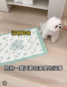 Extra Thick Super Absorbency Camellia Scent Pet Training Pads | Deodorizing Leakproof Pad