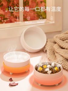 Heated Ceramic Pet Water Bowl Constant Temperature Cat Drinking Water Machine Dog Water Feeder No Wet Mouth Supplies