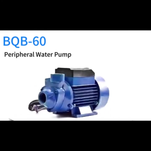 REAIM 450W 0.5HP 220V Heavy Duty Jet Booster Water Pump with Overheat Protection Automatic Self-Priming for Home Water Pressure Boost Shallow Well Water Supply