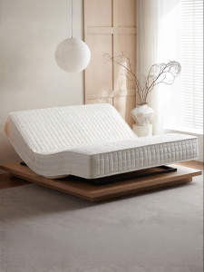 Smart Electric Adjustable No Snore Mattress