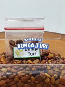 Benih Bunga Turi Putih Unggulan berkualitas biji kembang bibit hydroponik hidroponik sayuran sayur