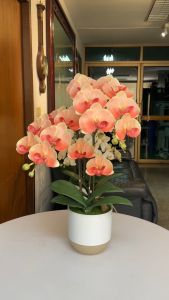 ไม้ประดิษฐ์ ดอกไม้ปลอมตกแต่งบ้าน กล้วยไม้ปลอมพร้อมแจกัน เสริมสร้างกล้วย