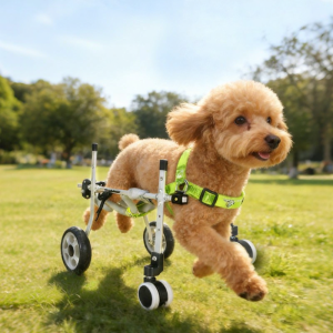 Pet Wheelchair for Disabled Dogs And Cats Rear Leg Assistance Mobility Aid Vehicle Senior Paralyzed Pet Front And Rear Legs