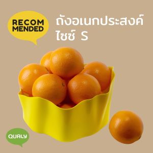 Flow Bowl  ถังอเนกประสงค์ size s ถังใส่ของ ดีไซน์ Qualy (ควอลี่)