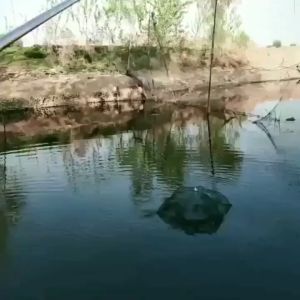 Jaring Pancing Bubu Payung Lipat Kelambu Perangkap Jebakan Ikan Kepiting Udang Lubang 2 Sampai 20 Hexagonal Fishing