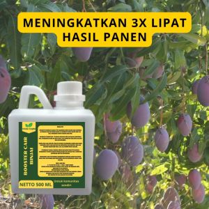 Pupuk Pelebat Binjai / Pupuk Buah Binjai / Pupuk Booster Buah Binjai / Pupuk Binjai