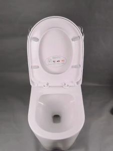 Toilet Seat Cover Standard Size O/U/D Type High Quality Bathroom Toilet Seats Easy to install Toilet Seat