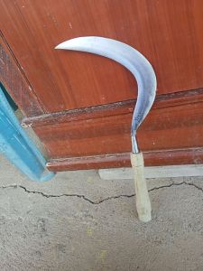 sabit padi rumput dan ranting2 madura baja per