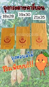 ถุงกระดาษคาร์บอน ขนาด19x30ซม. 300ใบ/แพ็ค