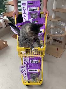 KERES | Deodorizing Low Dust Absorbent Clumping Cat Litter 20kg