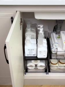 Pull-out Metal Sink Shelf Organizer Double Layer