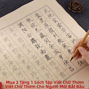 YUTAN | Giấy Thi Thư Cho Người Mới Bắt Đầu