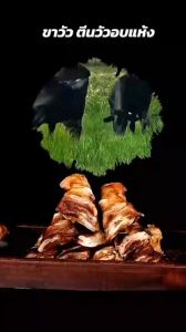 กระดูกขัดฟันสุนัข กระดูกอบไร้มัน ขนมขัดฟันสุนัข ของแทะเล่น พร้อมส่งในไทย