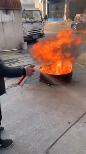 Bình chữa cháy ô tô 2025 bình cứu hỏa mới gốc nước chịu nhiệt độ cao chống cháy nổ xe ô tô riêng di động kiểm tra hàng năm thiết bị chữa cháy