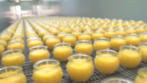 【SG】(24 hours) flat lotus butter lamp household Buddha lamp one-day glass butter candle long-burning lamp