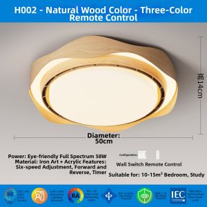 Eye-Protecting Quiet Bladeless Ceiling Fan Light