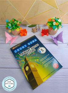 Count:Down To Primary Maths Exams Primary 5