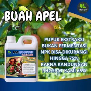 Poc Booster Organik Cair - Nutrisi Buah Apel INTERFARM