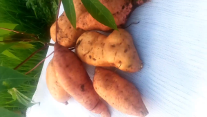 keripik ubi manis renyah berat 500gr