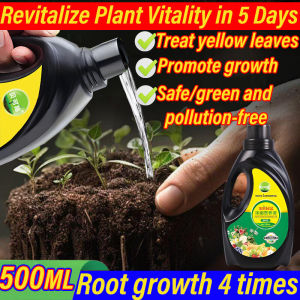Revitalize Plant Vitality in 5 Days Hydroponic fertilizer Plant fertilizer 500ML 植物营养液 Plant nutrient solution Root growth 4 times Liquid fertilizers for plants Suitable for all flower and plant types Plant fertilizer for growth tumbuhan baja bunga 花肥