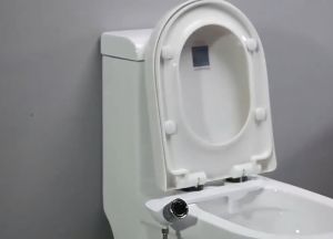 Vòi xịt rửa gắn bồn cầu thông minh 2 đầu xịt chuyên dụng kèm phụ kiện đấu nối (VXBC.X2T)