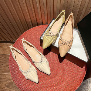 Pointed Toe Flat Bottom Shoes Womens Shallow Mouth 2025 New Spring Autumn Evening Shoes Soft Bottom Flat Shoes Korean Style