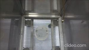 Ubat Lipas Berkesan / Cockroach Killing Spray Natural 500ml / Pemyembur Lipas Organik 天然蟑螂喷雾100ml & 500ml