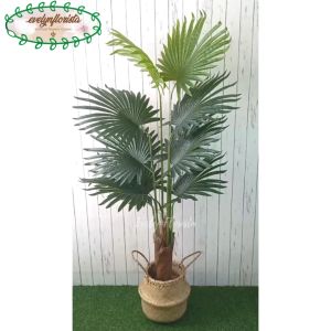 Tanaman Imitasi Pohon Hias Palem Sadeng T160 Latex Pot Dasar Hitam Cover Purun Belly Hiasan Rumah Aesthetic