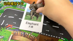 【SG STOCK】Animal Model Matching Card Set | Dinosaur/Ocean/Plant Growth Cycle Learning – Early Education Toys for Kids