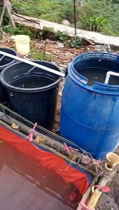 Pompa Air Celup Aquarium KANDILA KD 103