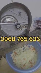 Máy thái đu đủ cà rốt chạy điện - Bảo hành 12 tháng