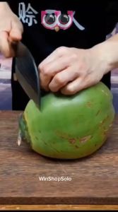 PISAU KOKI JEPANG JAPANESE CHEF SUPER KNIFE