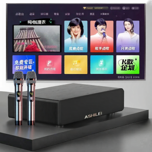 SKAMA | Smart KTV Entertainment Wireless Microphone