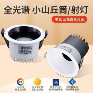 Embedded Hill Downlight: A Comprehensive Guide