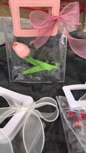 Túi nhựa đựng bộ quà tặng phụ kiện kèm nơ buộc sang trọng cỡ lớn vừa ngày lễ nhỏ xinh đẹp cao cấp rẻ