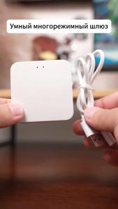 Zigbee Gateway Tuya Devices Bluetooth Wired Smart Hub Smart Life Products Home Control Panel Compatible with Alexa