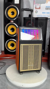 60W 8-inch wireless Bluetooth portable wooden speaker with dual microphones USB speaker with LED spectrum display