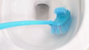 2PCS Bundle Double Sided Toilet Brush with Long Handle/Easy side cleaning/brushing