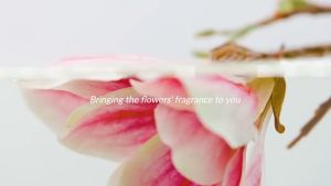 SALSA EAU DE PARFUME 60 ML / SALSA BODY MIST SPRAY