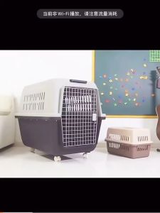 Lồng Hàng Không Lồng Vận Chuyển Thú Cưng Size Khổng Lồ Dành Cho Pet Dưới 60kg