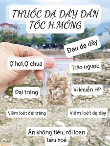 Hạt sành ( hạt sang) dạ dày hạt già ruột trắng 1 gói 10 hạt cắt lát sẵn
