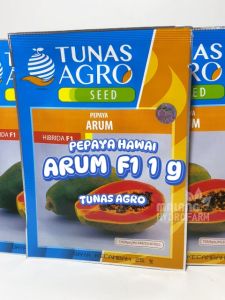 Benih Pepaya Hawai Arum 1 gram Tunas Agro bibit biji buah buahan unggul kates mini kecil bulat sunrise hidroponik hydroponik