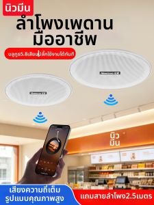 NIUMAN | Wireless Bluetooth In-Ceiling Speaker For Store Use